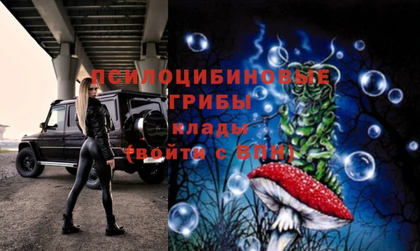 крисы Инсар