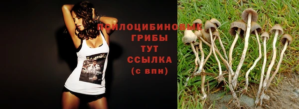 mdma Переславль-Залесский